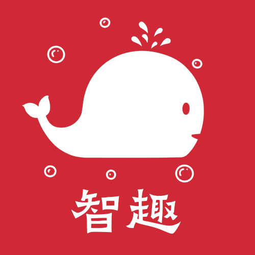 智趣积木玩具店