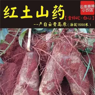10 kg Yunnan Wenshan Hongdian fresh freshly dug gold weighing yam White mountain medicine taste sweet, smooth and soft waxy