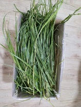 Dried oat grass domestic green Australian wheat rabbit ChinChin Dutch pig pasture can replace Timothy grass gross weight 2kg