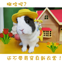Pet rabbit clothes Traction rope Live rabbit Rabbit Dutch pig Lop rabbit Pygmy rabbit supplies Warm clothing clothing