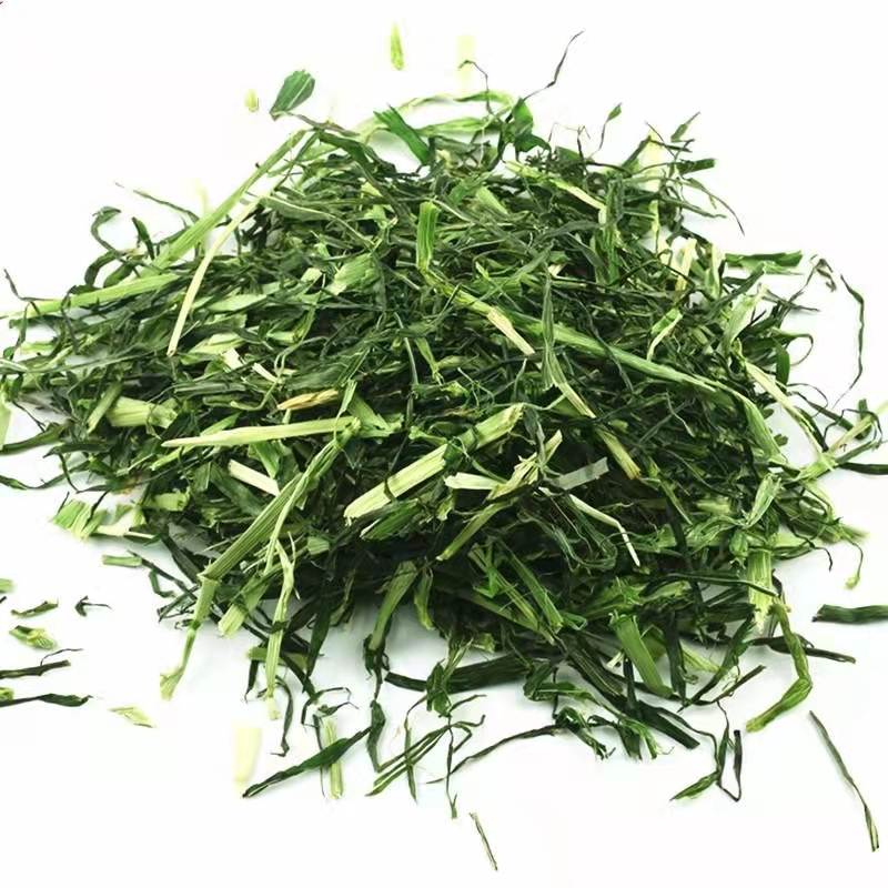 Dry barley grass segment rabbit guinea pig forage feed grain high fiber molars gastrointestinal tract hair gross weight 1 kg