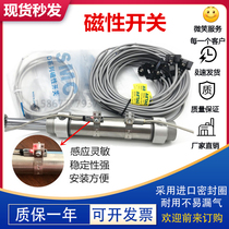 Magnetic Sensor cs1-u-m-f-j-H Proximity Switch d-a93m9bz73CS1H Magnetic Induction Wire