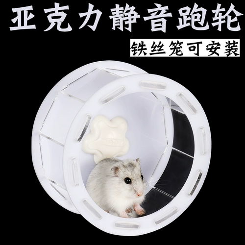Zoog Hamster Бег колеса Акриловые рулонные рулонные ролики ротор ротор спортивные фитнес