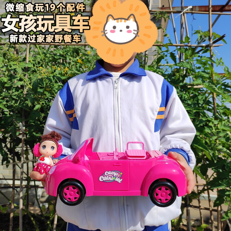 Girl Princess Toy Car Convertible Beetle Toy Car Pink Doll Pretend Play 3-4 Years Old 5 Baby