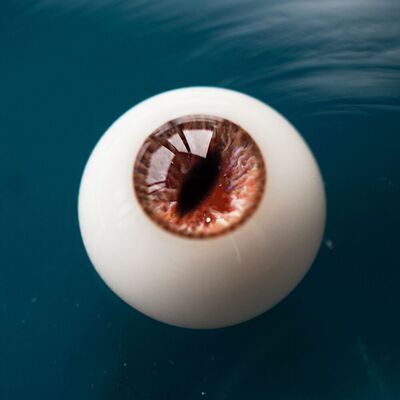 taobao agent [Moyi Eye-Beast Version of Brown Pupil] BJD resin eye-catching small iris Eye doll eye 12-18mm three-pointer