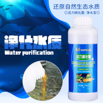 Sunsun Nitrifying bacteria Active digestive bacteria Water quality stabilizer Fish tank water purifier Water quality clarifier Algae remover