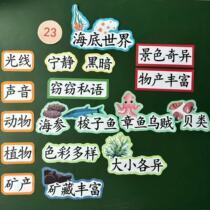 Third Grade Seafront World Open Class Teaching Aids Board Sticker Magnetic Attraction Elementary School Language Original Board Book Design Jam