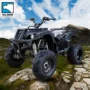 Big Bull 200CC làm mát bằng dầu tốc độ vô cấp ATV xe mô tô địa hình bốn bánh xe địa hình ATV xe đua trẻ em