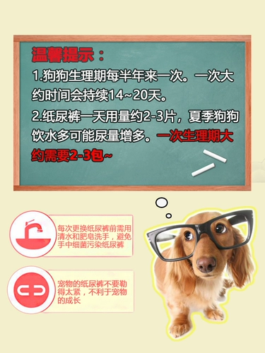 Домашние тетушки для мальчика для мальчика собака физиологические штаны женская моча брюки мужчина собака менструальные штаны