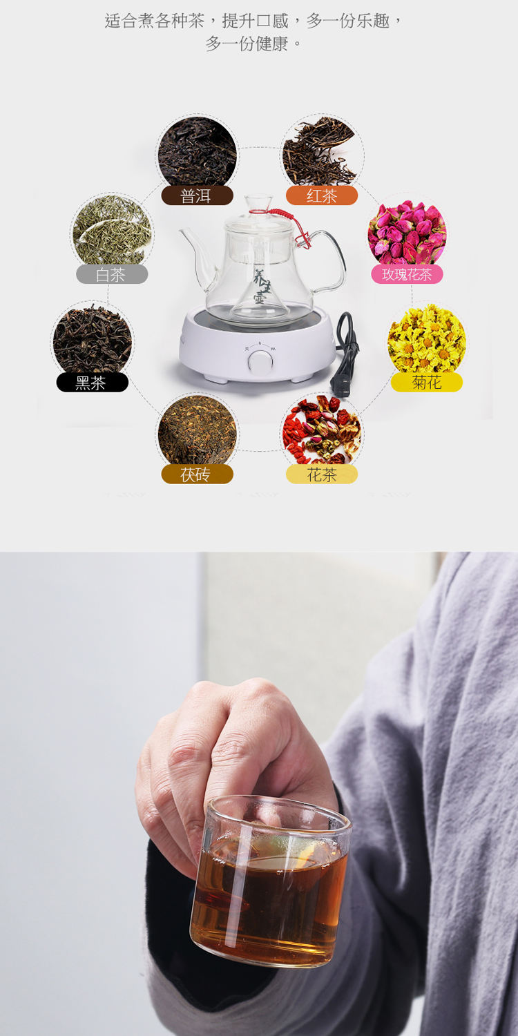 True sheng suit the electric TaoLu boiled tea, the Japanese heat - resistant glass home steamed small office glass teapot