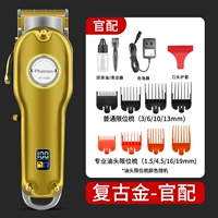 Ретро Золотой Гуанпи