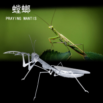 Love fight all-metal stainless steel DIY assembly model 3D mini three-dimensional puzzle machine insect Mantis 