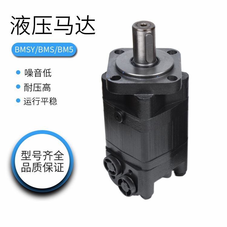 Hydraulic Motor Bms/Bm5 Low-Speed High-Torque Bmsy 80 100 125 160 200 250 315 400