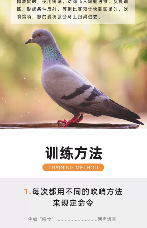 Pigeon Còi Còi Pigeon Huấn luyện Còi siêu âm - Chim & Chăm sóc chim Supplies