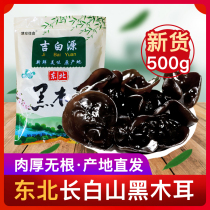 Changbai Mountain small fungus Black fungus dry goods 500g premium wild Northeast specialty small bowl ear cloud ear meat thick autumn ear