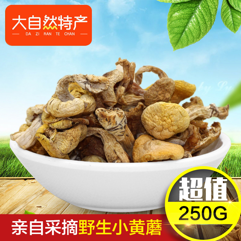 Northeast Wild small yellow mushroom Long white Mountain Tete small mushroom Northeast dried mushroom hazelnut mushroom Mushroom Mushroom mushroom New stock 250g