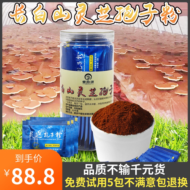 Northeast specialty pure Changbaishan Basswood Ganoderma lucidum powder Robe powder High spore powder Nyingchi Toudao Powder new goods