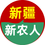 新疆新农人