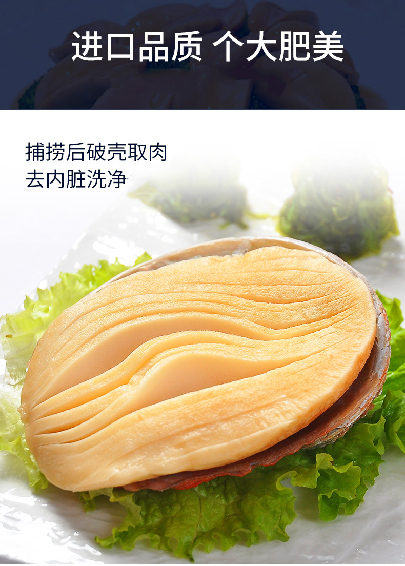 比手掌还大的鲍鱼 沃派 非洲黄金鲍 400-500g/只 图3