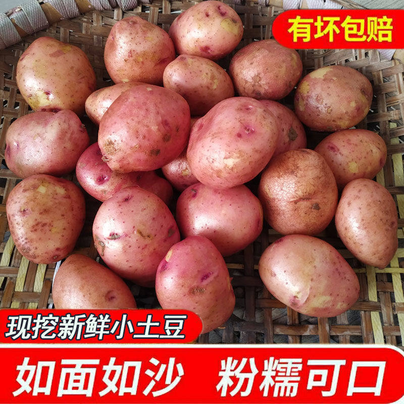 Yunnan mini red-skinned alpine yellow heart small potato 10 kg potato fresh potato Shidou 5 ma Ling potato