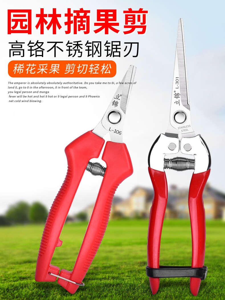 Stainless steel fruit pickers Fruit pickers Fruit pickers Citrus grapes Dragon fruit pickers Fruit pickers Pruning Cutters