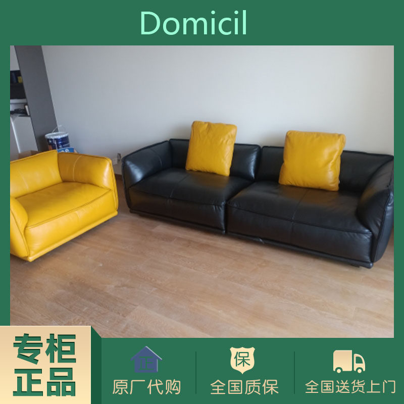 German imported brand DOMICIL sofa Domicil sofa leather electric full head layer full series