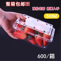 Strawberry packaging box Plastic transparent courtesy shockproof tray with cover upscale package box disposable lunch box