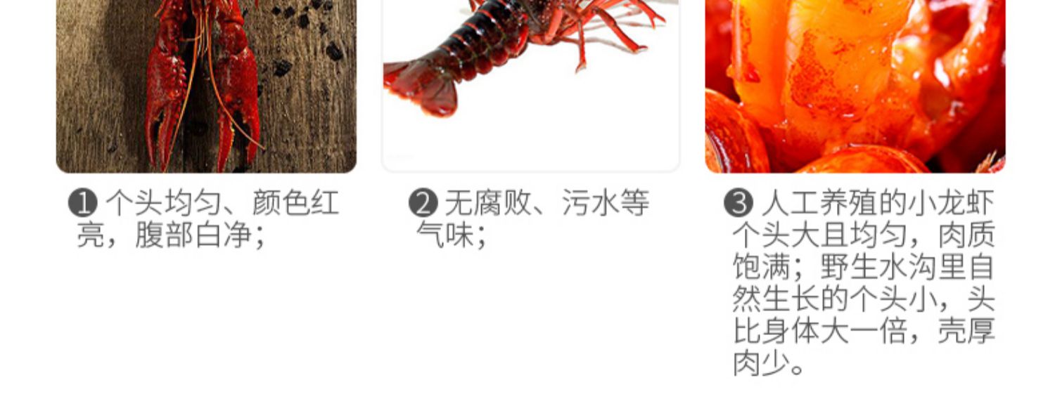 【筷手小厨】小海鲜调味料