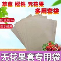  Fig bagging Special bag Special bag Strawberry bag Cherry bag Cherry fruit bag Rain-proof insect-proof disease-proof fruit-growing