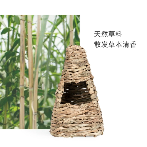 Niteangel Aitecuscurry rabbit grassstrokes