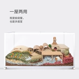 Niteangel Aite Hamster поставляет вуайерский дом Золотой шелковый медведь, спрятав дом с двумя шнурными клетками