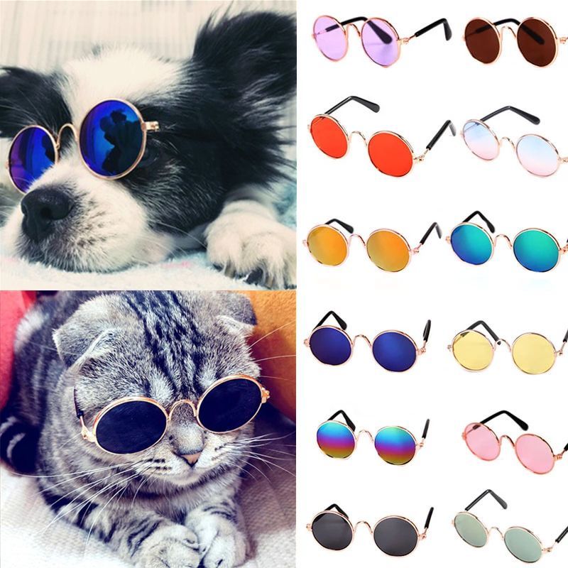 1Pcs Hot Sale Dog Pet Glasses For Pet Products Eye-wear Dog-