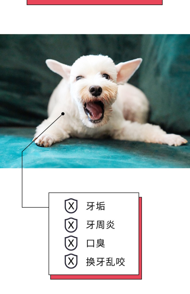 Hương vị và nốt ruồi chó chống rách thanh 7 ngày xương cắn chó con nhỏ Teddy dog ​​nhai răng làm sạch que ăn nhẹ - Đồ ăn vặt cho chó hạt mềm cho chó con