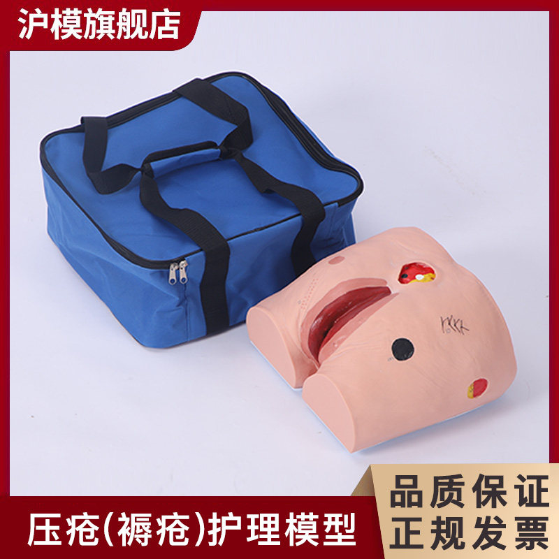沪模 HM/H10Z压疮(褥疮)护理模型 仿真褥疮护理练习教具 老年护理模拟人教学训练模