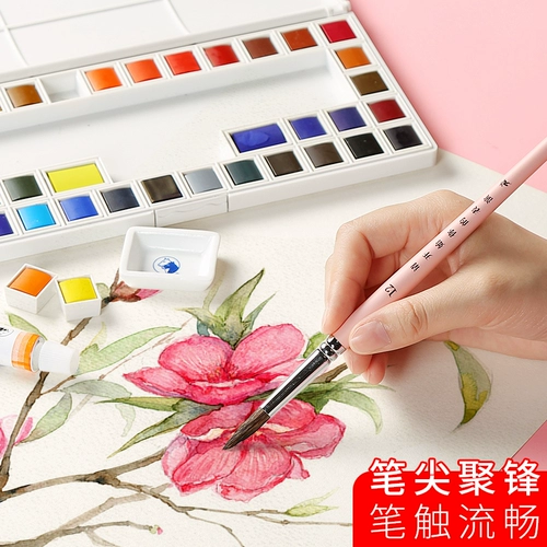 Акварель, кисть, комплект, гуашь с животными, мел, мелки, пигментированный художественный профессиональный лайнер для начинающих для школьников, ручная роспись