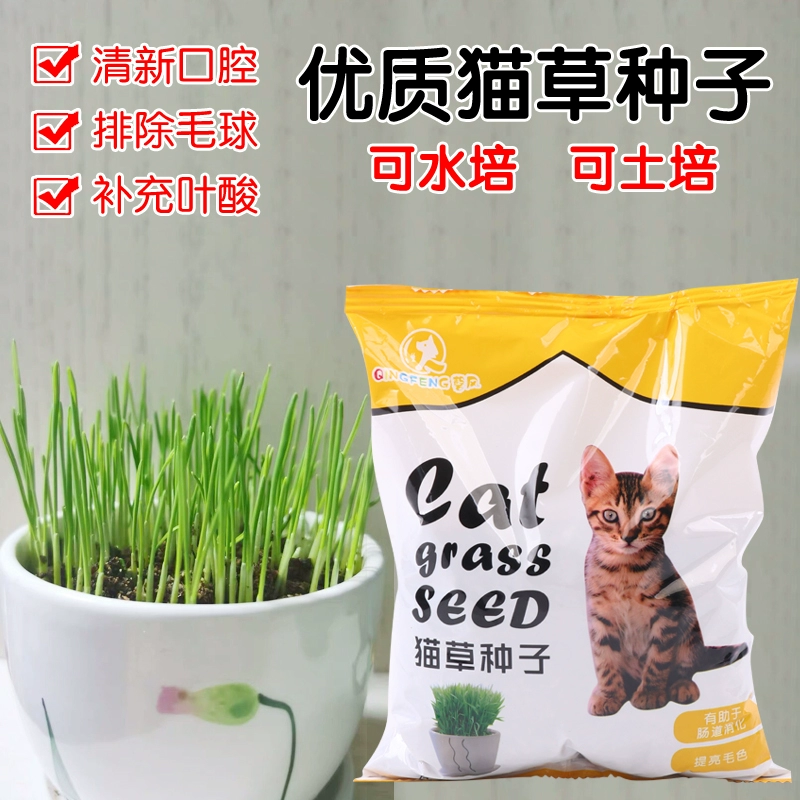Hạt giống cỏ mèo Hạt giống cỏ mèo tẩy lông bóng, snack cho mèo, kem dưỡng lông, đồ dùng cho mèo, đất trồng thủy canh - Đồ ăn nhẹ cho mèo