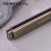 Harmonica 28 hole Polyphonic c accent adult children male students female beginners self-taught playing instruments
