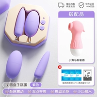 Потягивание коробки-коробка-Элегант Фиолетовый | Сосание гиппокампа | интересные подарки, интересное нижнее белье, вибрация нижнего белья на работу