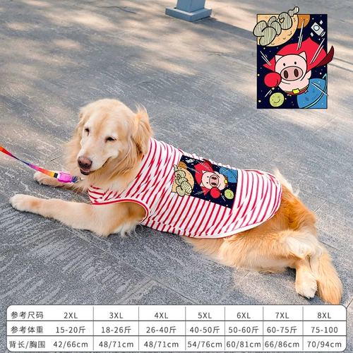 Золотой ретривер для собачьего жилета