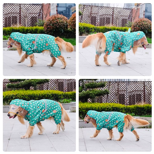 Дорога собака Большой собака среднего цвета