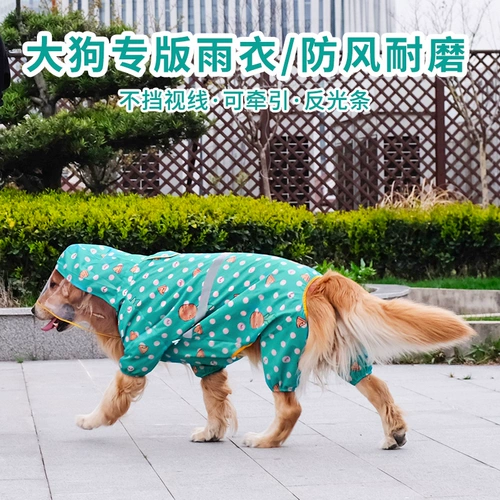 Дорога собака Большой собака среднего цвета