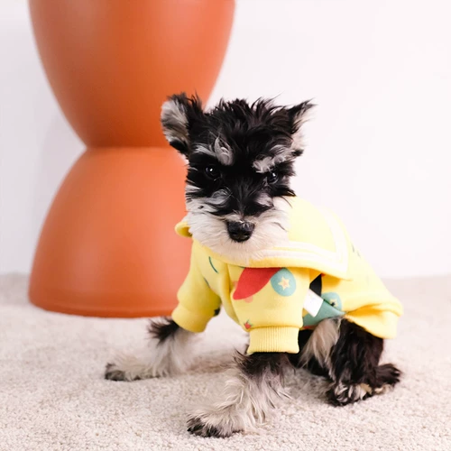 Шнаузерная щенка