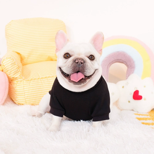 Смешная боевая борьба осень осень и зимний багол борьба с Буллоном маленькие и маленькие домашние животные домашние животные щенки щенка осень