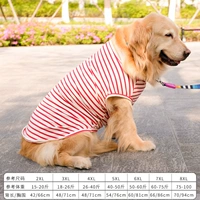 Красная и белая рукавица полоска