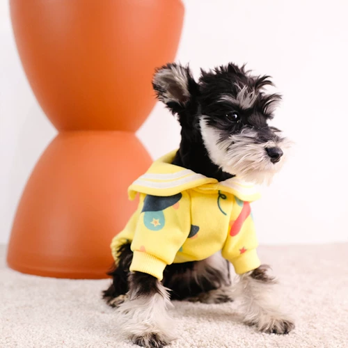 Шнаузерная щенка