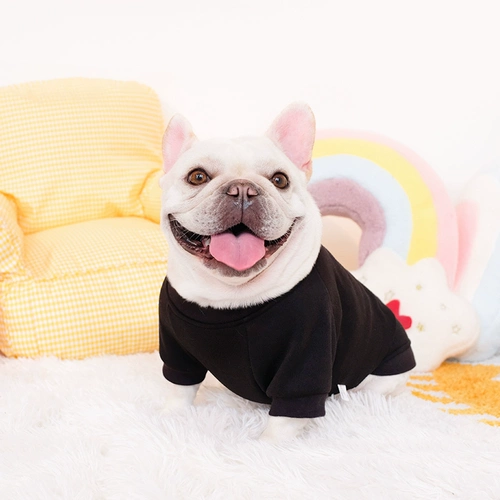 Смешная боевая борьба осень осень и зимний багол борьба с Буллоном маленькие и маленькие домашние животные домашние животные щенки щенка осень