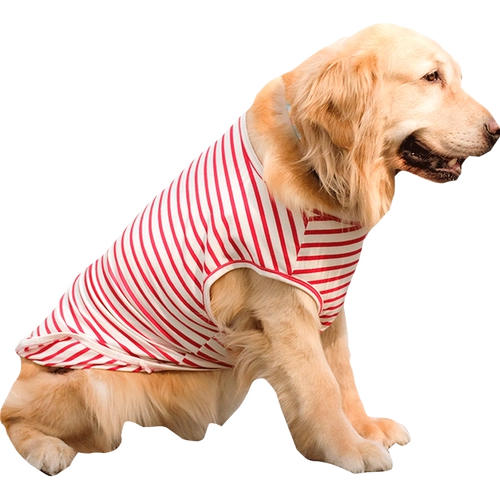 Золотой ретривер для собачьего жилета