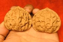 Cousins sister-in-law plays walnuts and is white. Wang Yongs official hat is full of stars in the apple garden. His sons hat is hemp walnuts.