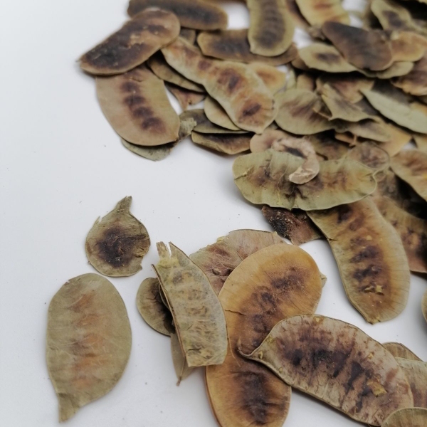 Elementary Agricultural Products Senna Leaf Pod, No Additives, Multi-Specification Bamboo Leaf Pod, Senna Leaf Pod Elementary Agricultural Products Senna Leaf Pod, No Additives, Multi-Specification Bamboo Leaf Pod, Senna Leaf Pod