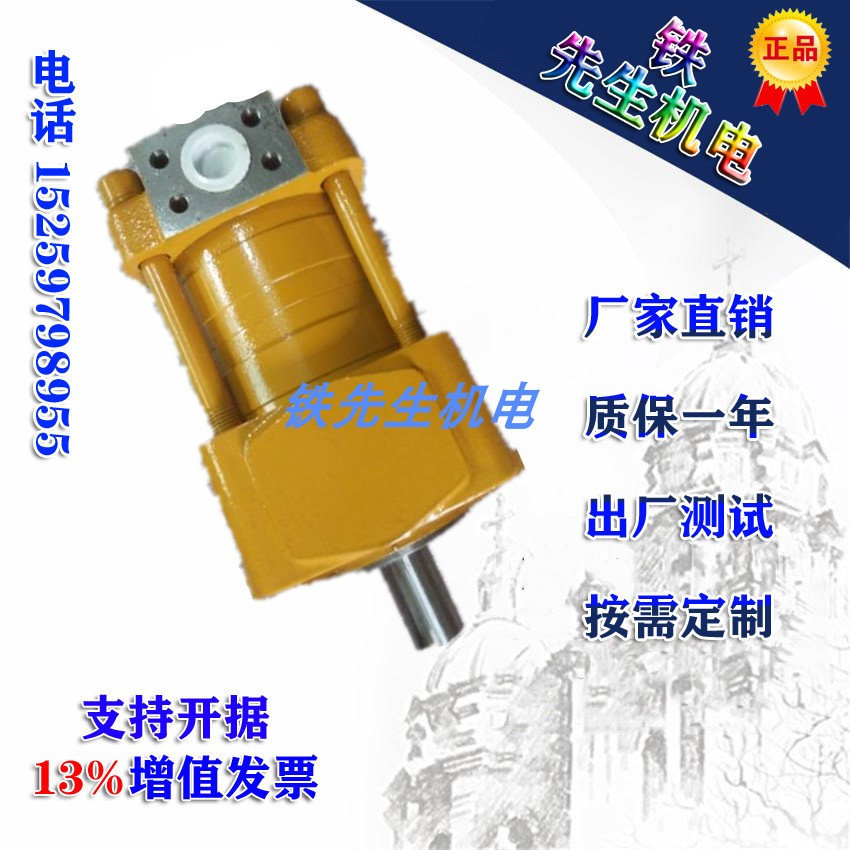 NBZ3-G20F NBZ3-G20F NB3-G20F SAEMP Shanghai Airissuing High Pressure Inner Meshing Gear Pump quality assurance